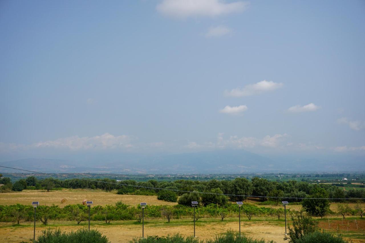 Agriturismo Casacchella Marina di Sibari Bagian luar foto