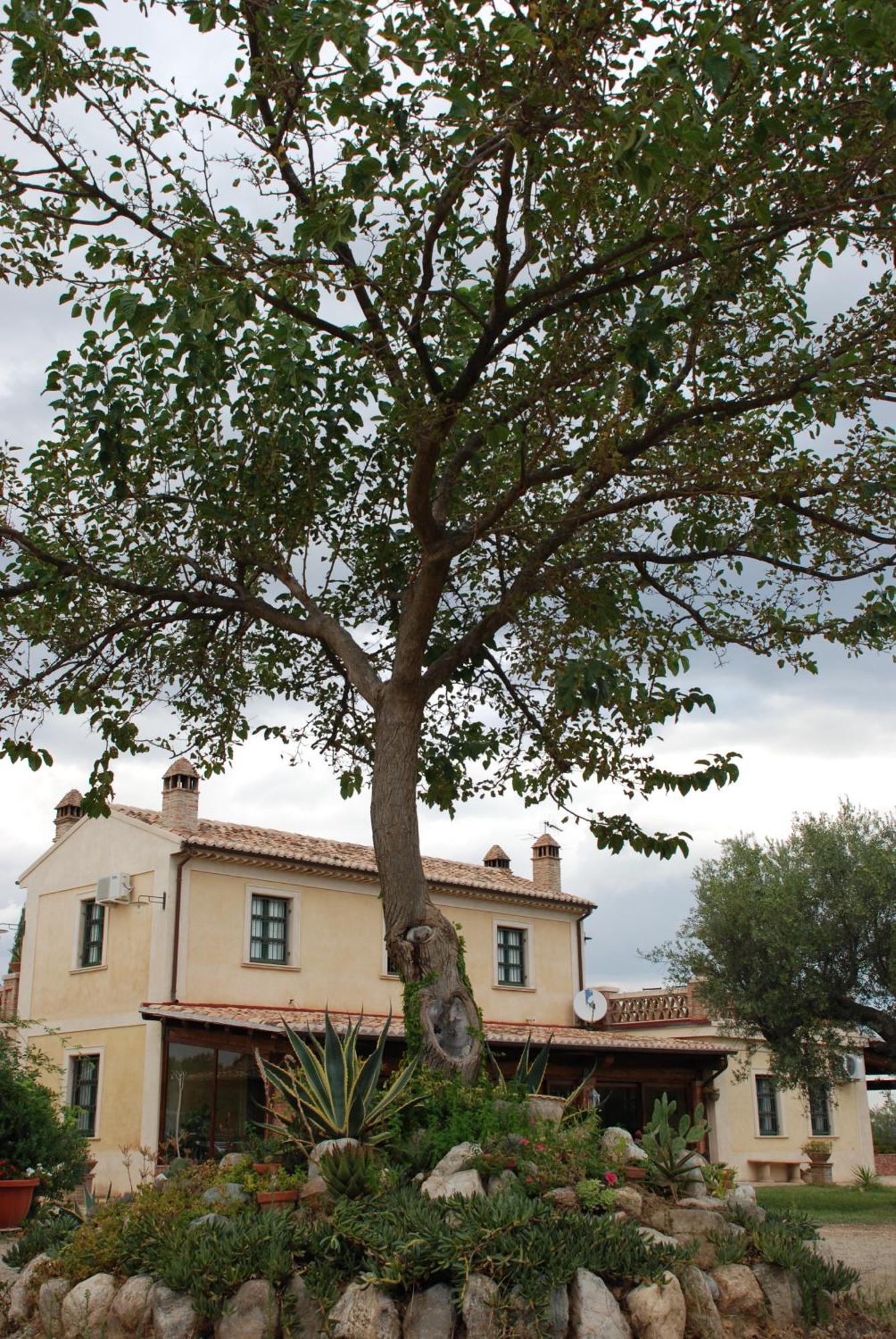 Agriturismo Casacchella Marina di Sibari Ruang foto